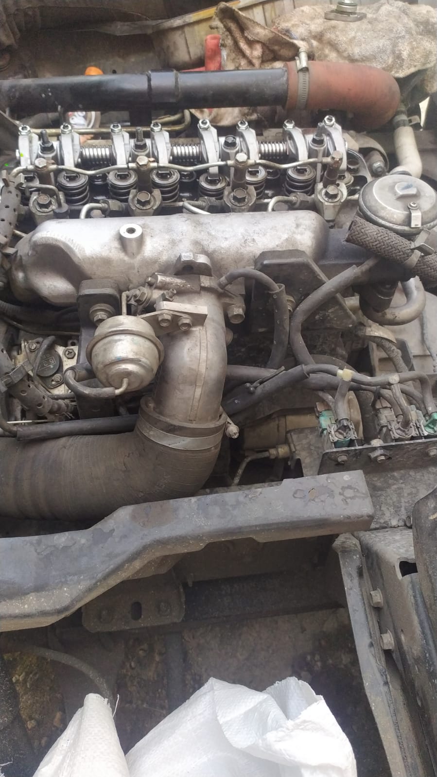 WhatsApp Image 2025-10-03 at 19.10.01